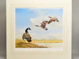 'Canada Geese', a limited edition print, 332/950, signed to lower by Spencer Hodge, print, sold Feb 2020