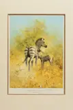 'Zebra Mother and Foal, Etosha', a limited edition print, 71/ by David Shepherd, print, sold Feb 2020
