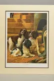 'Ground Force', a limited edition print, 164/495, of Springer by Nigel Hemming, print, sold Feb 2020