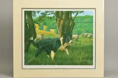 'Border Patrol', a limited edition print, 42/250 of a working sheep by Nigel Hemming, print, sold Feb 2020