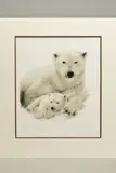 'Mine All Mine', an artist proof print, 7/49, of a Polar by Wendy Corbett, print, sold Feb 2020
