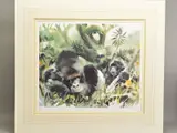 'Mountain Gorilla', a limited edition print, 313/650, signed to by Wolfgang Weber, print, sold Feb 2020