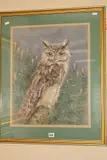 EAGLE OWL' an owl perched on a branch by Joan Fielden, pastel on paper, sold Feb 2020