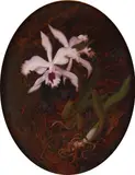 Still life of lilac orchidsOil by Stuart Park, Oil on canvas oval, sold Dec 2018