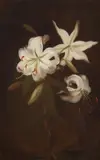 Untitled by Stuart Park, Oil on canvas, sold Dec 2018