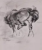 Study of a horse thought to be a preparatory sketch for the etching ‘Restless’ 1957 Signed and dated Aug 57 Pen and ink with charcoal 15 x 13cm Lots 1 to 30 by Edmund Blampied, Pen and ink with charcoal, sold Dec 2018