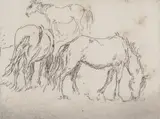 Dartmoor ponies 1905Signed Etching plate No by Augustus Edwin John Om, Etching, sold Dec 2018