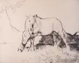 A horse grazing; Herdsman and cattle on a windy day Two both signed Both etchings 20 x 25cm and 33 x 25cm (2) See lots 12 and 181 by the same hand ++1 by Edmund Blampied, print (other), sold Dec 2018