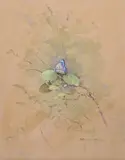 Untitled by Gordon Beningfield, Watercolour, sold Dec 2018