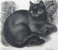 Sleepy catSigned titled and numbered 13/60Etching17 by Eileen Mayo, Etching, sold Dec 2018