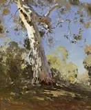 Morning (The White Gum) by Penleigh Boyd, 1920, oil on board, sold Apr 2013