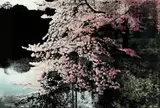Often by Susan Norrie, 2011-12, oil on canvas, sold Apr 2013