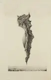 La larve XI by Frantisek Musika, Lithographie, sold Dec 2020