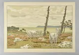 La Baie, 1897 Planche 1 sur 16 de la série des Aspects de la nature by Henri Rivière, Lithographie en, sold Jun 2025