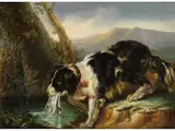 Darstellung Eines Hundes by Giuseppe Canella, oil on canvas, offered Sep 2019