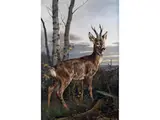 Junger Rehbock in Landschaft by Otto Recknagel, oil on canvas, sold Sep 2024