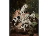 Hundewelpen by Carl Reichert, Pseudonym „J. Hartung“, 1836 Wien – 1918 Graz, oil on panel, offered Mar 2019