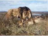 Das Löwenpaar by Carl Ritter von Dombrowksi, oil on canvas, offered Dec 2025
