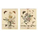 Pair of Engravings from The Aurelian, A Natural History of English Moths and Butterflies by Moses Harris, Each a hand-colored engraving on laid paper, sold Jan 2025