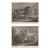 Horse from Sweden / Horse from Normandy (Two Works) by Johann Elias Ridinger, Etching and engraving on paper, sold Dec 2024
