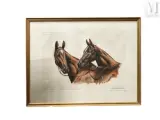 Deux chevaux by Léon Danchin, Lithographie, sold Aug 2025