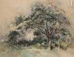 Etude d’arbre by Paul-Elie Gernez, Aquarelle, sold Feb 2025