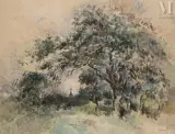 Etude d’arbre by Paul-Elie Gernez, Aquarelle, sold Feb 2025