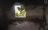 A Window Through The Life by Abbas Kiarostami, Tirage photographique sur toile, encadré, sold Jul 2024