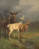 Hirschrudel in einer Waldlichtung by Adolf Mackeprang, oil on canvas, sold Dec 2024