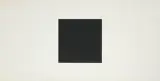 Two Whites and Black by Ellsworth Kelly, 1973, screenprint, sold Sep 2024