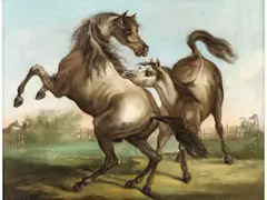 Kämpfende Pferde by Carle Vernet, oil on canvas, offered Jun 2026