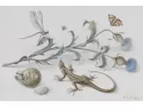 Distel mit Libelle, Echse, Schnecke und Falter by Aloys Zötl, watercolor, sold Jun 2024