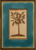 The Tamarind by John Hinton, Engraving on Wove Paper, sold Apr 2024