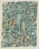 Florales Gewebe by Heiner Kielholz, 1978, watercolor, offered Sep 2024