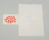 Blume in Glas by Heiner Kielholz, 1980, drawing, offered Sep 2024