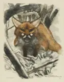 Renard by Robert Hainard, 1970, color woodcut, offered Sep 2024
