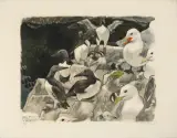 Guillemots et mouettes by Robert Hainard, 1963, color woodcut, sold Jun 2024