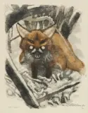 Renard by Robert Hainard, 1970, color woodcut, offered Jun 2024