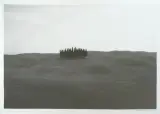 Group of Cypress by Philipp Keel, 1992, photograph, offered Jun 2024