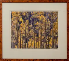 Birches by Christopher Burkett, Photograph, sold May 2024
