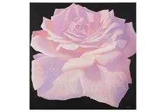 Untitled by Alan Weston, oil, offered Aug 2023