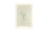 Untitled by Peter Blake Cbe Rdi, print, offered Aug 2023