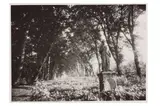 Untitled by Eugène Atget, print, offered Jul 2023