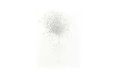 Untitled by David Hockney Om Ch, etching, offered Jun 2023