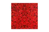Untitled by Damien Hirst, print, offered Jun 2023