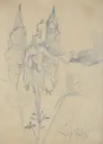 Sketch of a fairy in a flower head by John Anster Fitzgerald, watercolour, sold May 2022