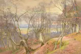 Burnham beeches by Walter Follen Bishop, 1927, watercolor, offered May 2022
