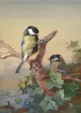 Blue tits on an ivy covered dead branch by Archibald Thorburn, 1917, watercolor, sold May 2022