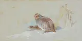 Partridges in the snow by Archibald Thorburn, watercolor, sold May 2022