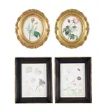 Study of flowers by Johann Konrad Faesi-Gessner, watercolour, sold May 2022